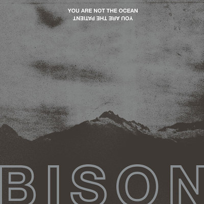 Bison B.C.: "You Are Not The Ocean You Are The Patient" – 2017